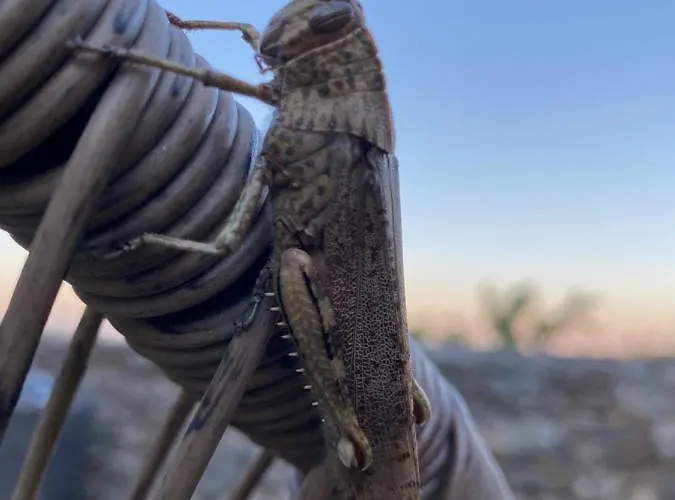 Πανσιόν L'Accalmie Saint-Pons-la-Calm